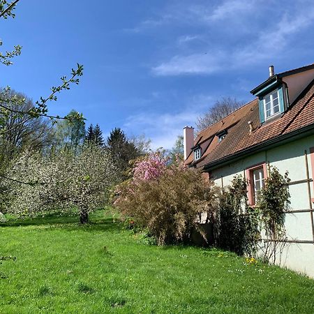 Ferienwohnung In Historischer Muehle Buchen  Exterior photo