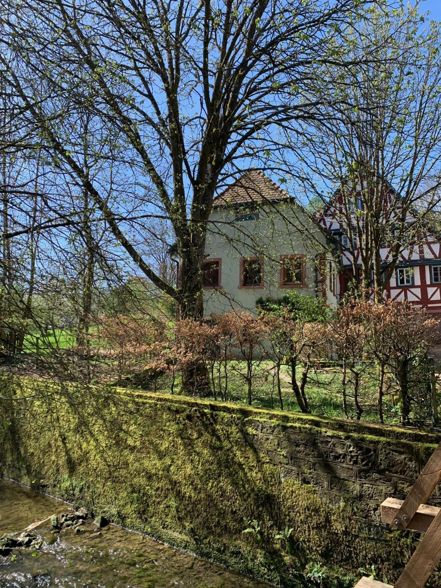 Ferienwohnung In Historischer Muehle Buchen  Exterior photo